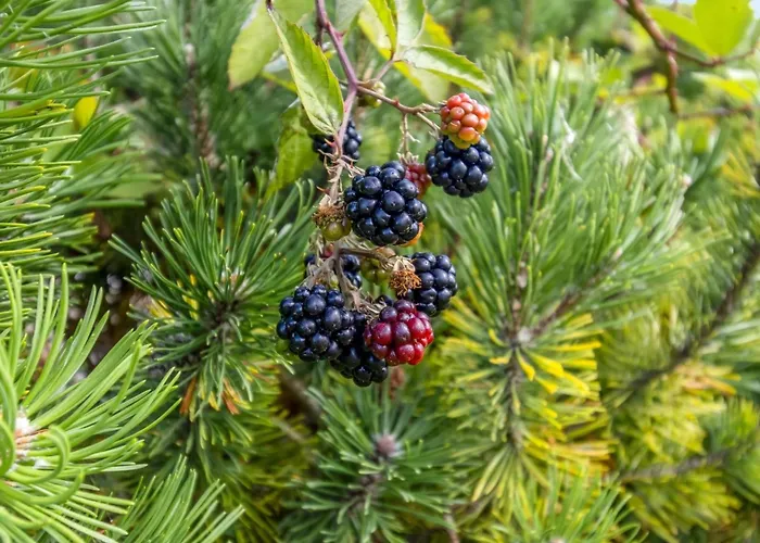 Taisto - 1-8km From The Sea By Interhome Molby